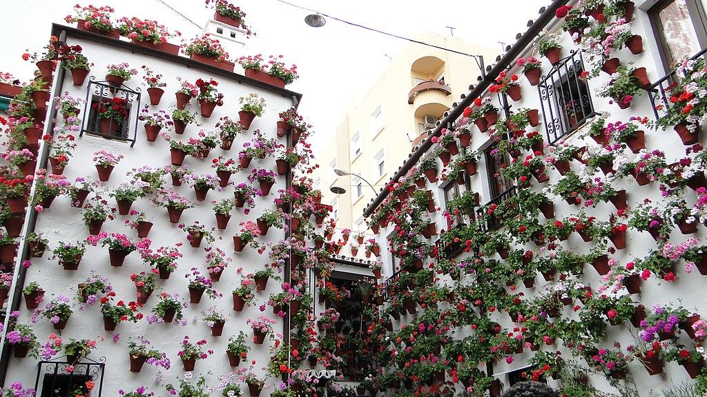 Patio, Cordoba, Spain, flowers