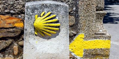Yellow Camino scallop shell on stone route marker