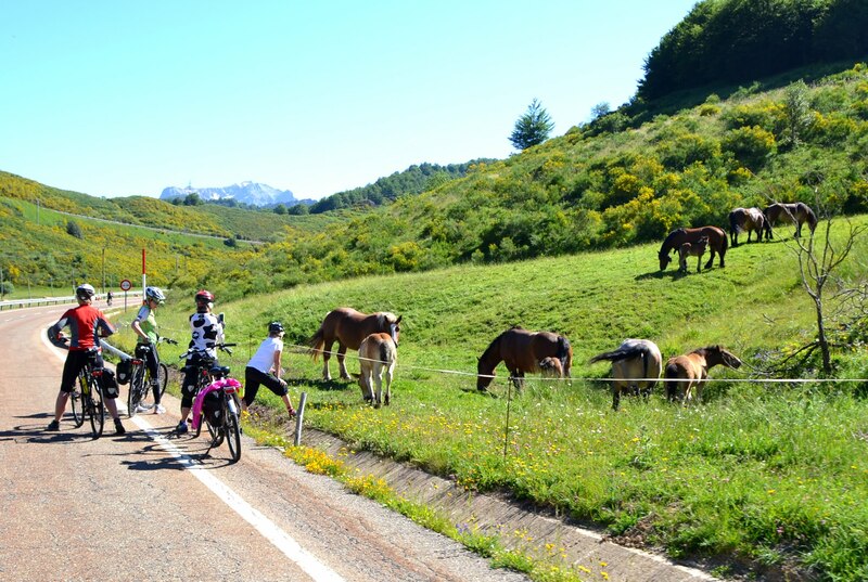 Picos de Europa Bike Tour coast horses