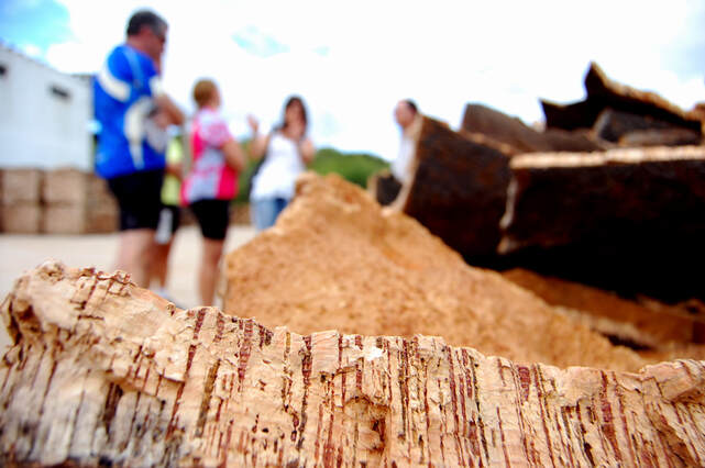 Piles of fresh stripped cork bark in the Algarve in southern Portugal