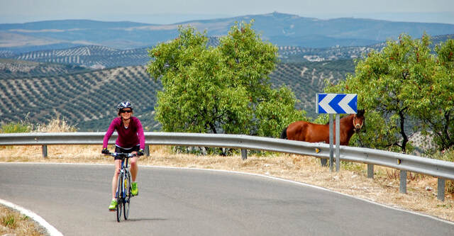 Cyclist on a mountain road in Andalucia in southern Spain